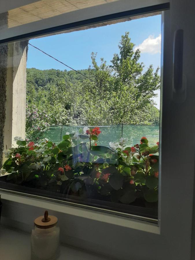 Apartman Mr Guest Krapina Eksteriør billede